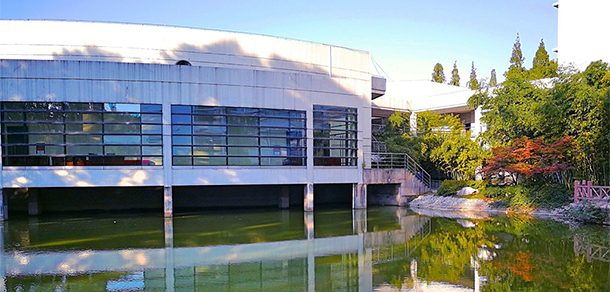 南京林业大学 - 2025年 面向香港、澳门、台湾地区、华侨招生简章