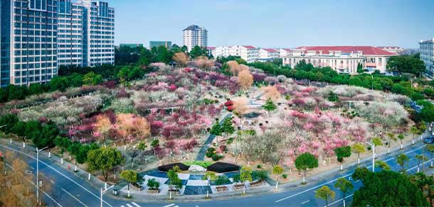 江苏大学 - 流金歲月