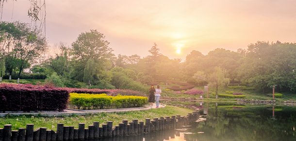 江苏大学 - 2025年 面向香港、澳门、台湾地区、华侨招生简章