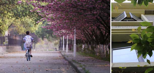南京中医药大学 - 流金歲月