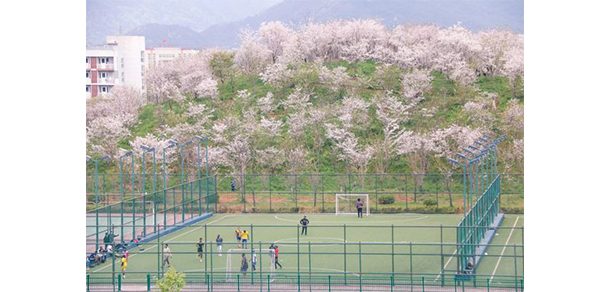 杭州师范大学 - 2025年 面向香港、澳门、台湾地区、华侨招生简章