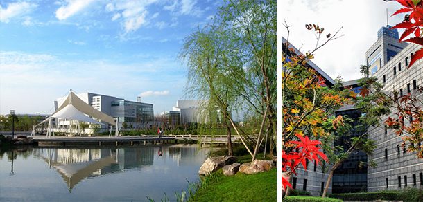 温州大学 - 2025年 面向香港、澳门、台湾地区、华侨招生简章