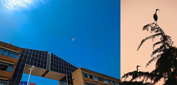 宁波大学 - 2025年 面向香港、澳门、台湾地区、华侨招生简章