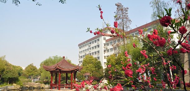 浙江树人学院 - 2025年 面向香港、澳门、台湾地区、华侨招生简章