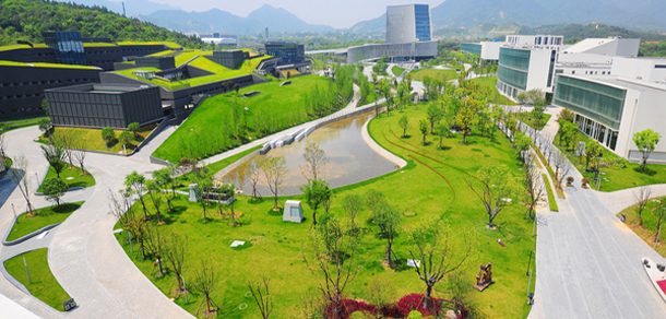 浙江音乐学院 - 2025年 面向香港、澳门、台湾地区、华侨招生简章