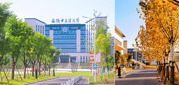 安徽中医药大学 - 流金歲月