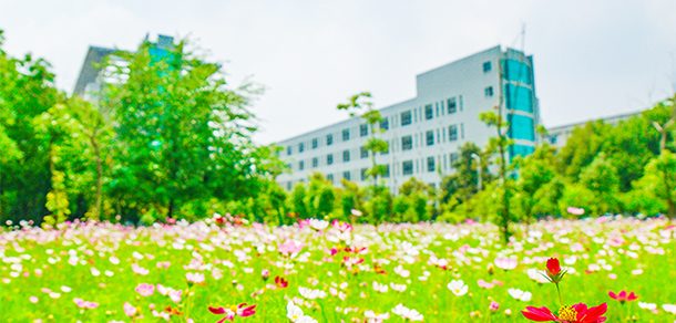 安徽建筑大学 - 流金歲月