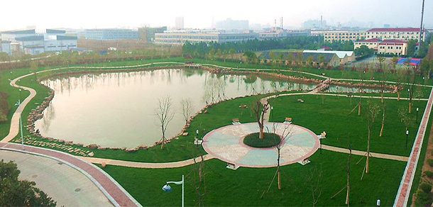 合肥大学 - 流金歲月