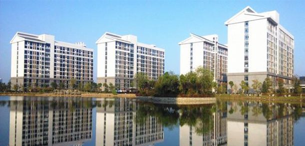 合肥大学 - 流金歲月