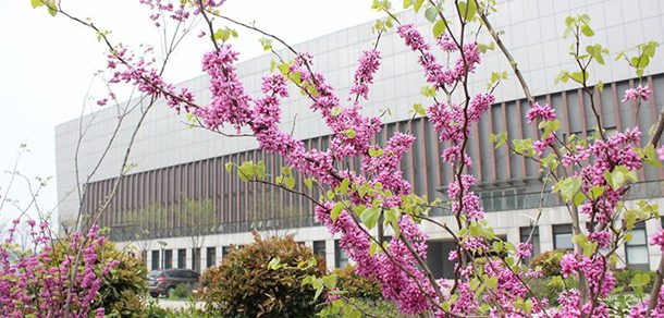合肥大学 - 2025年 面向香港、澳门、台湾地区、华侨招生简章