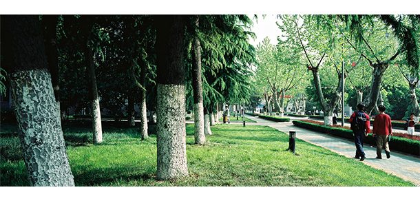 安徽医科大学 - 2025年 面向香港、澳门、台湾地区、华侨招生简章