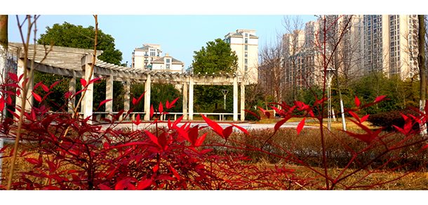 安徽医科大学 - 2025年 面向香港、澳门、台湾地区、华侨招生简章