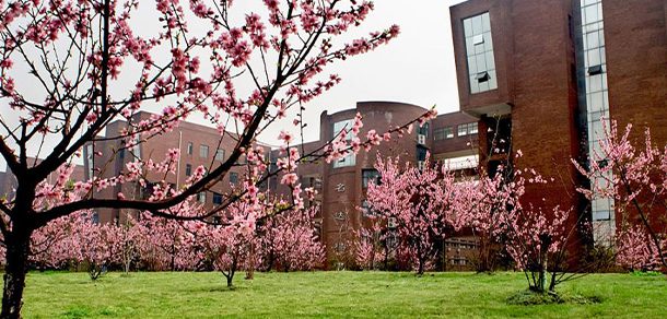 江西师范大学 - 2025年 面向香港、澳门、台湾地区、华侨招生简章