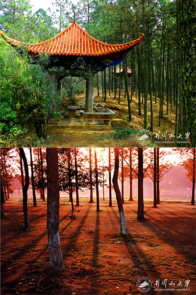 井冈山大学 - 流金歲月