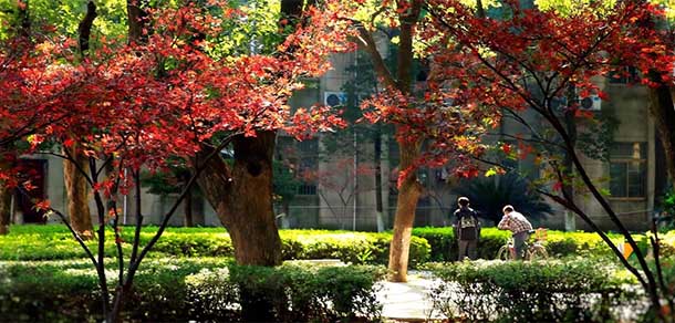 江西财经大学 - 流金歲月
