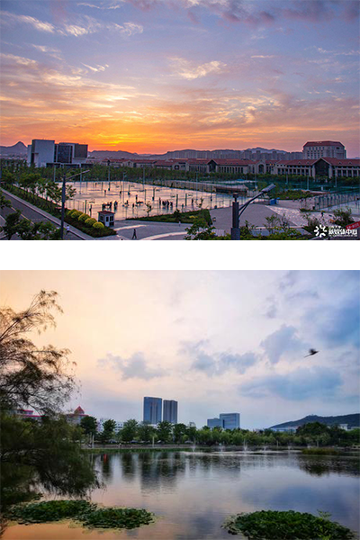 山东大学 - 流金歲月