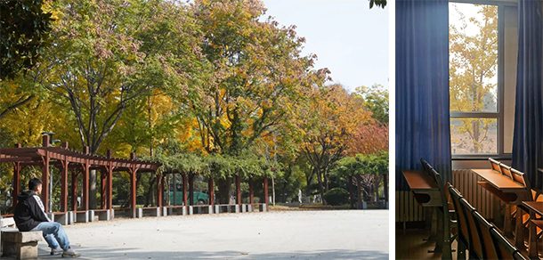 山东农业大学 - 2025年 面向香港、澳门、台湾地区、华侨招生简章