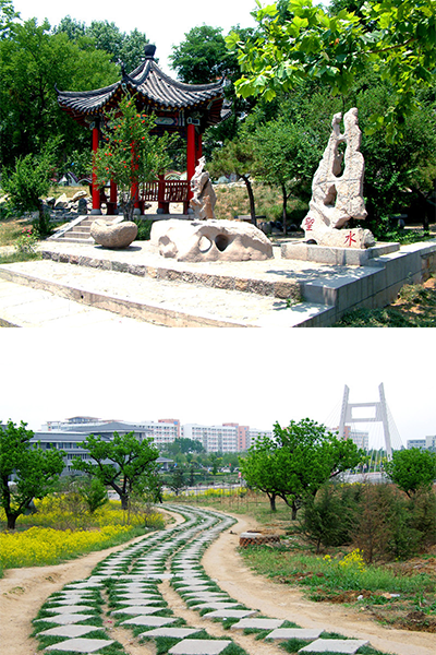 山东第一医科大学 - 流金歲月