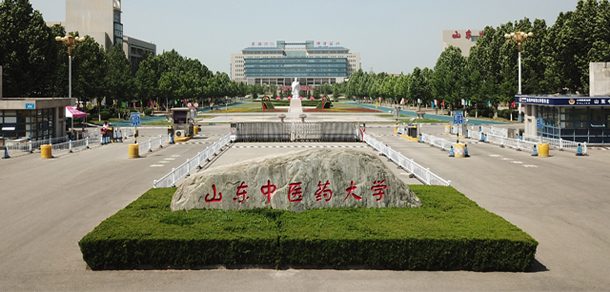 山东中医药大学 - 2025年 面向香港、澳门、台湾地区、华侨招生简章