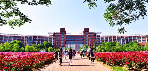 山东科技大学 - 流金歲月