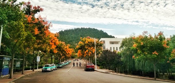 山东艺术学院 - 2025年 面向香港、澳门、台湾地区、华侨招生简章