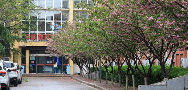 山东英才学院 - 2025年 面向香港、澳门、台湾地区、华侨招生简章