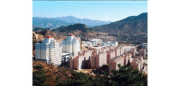 青岛科技大学 - 2025年 面向香港、澳门、台湾地区、华侨招生简章