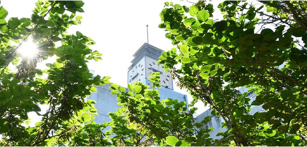 济南大学 - 2025年 面向香港、澳门、台湾地区、华侨招生简章