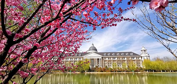 河南农业大学 - 流金歲月