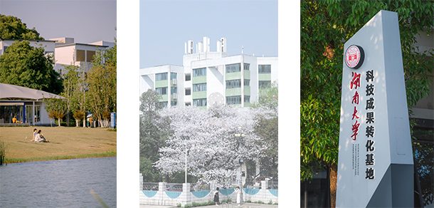 湖南大学 - 2025年 面向香港、澳门、台湾地区、华侨招生简章