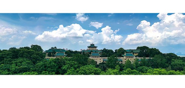 武汉大学 - 2025年 面向香港、澳门、台湾地区、华侨招生简章