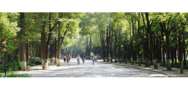 湖北工业大学 - 2025年 面向香港、澳门、台湾地区、华侨招生简章