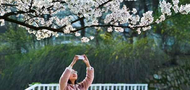 湖北经济学院 - 2025年 面向香港、澳门、台湾地区、华侨招生简章