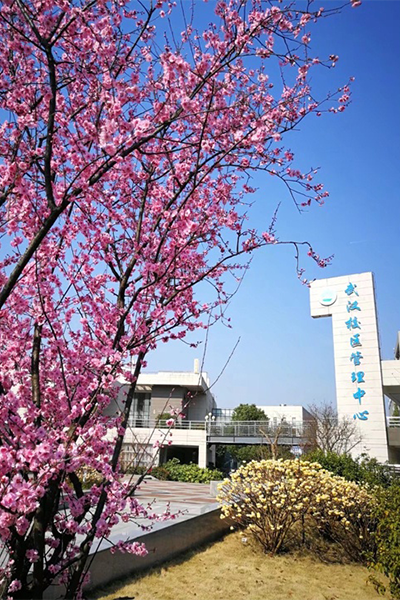 长江大学 - 流金歲月