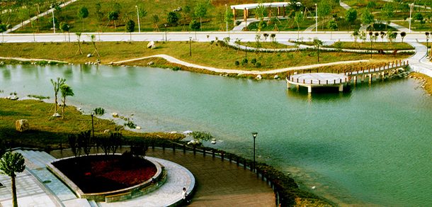 武汉理工大学 - 2025年 面向香港、澳门、台湾地区、华侨招生简章