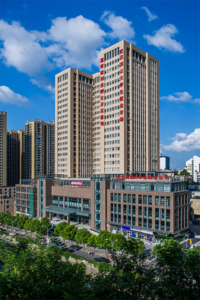武汉理工大学 - 流金歲月