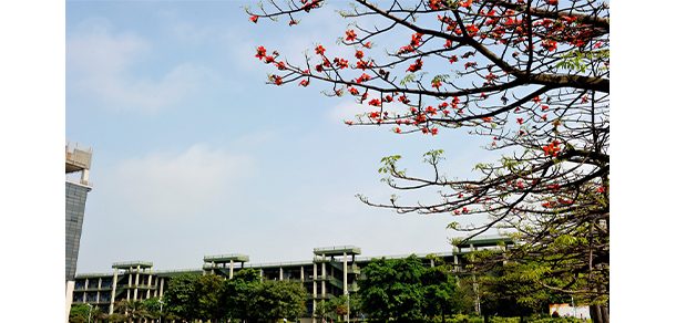 广东工业大学 - 2025年 面向香港、澳门、台湾地区、华侨招生简章