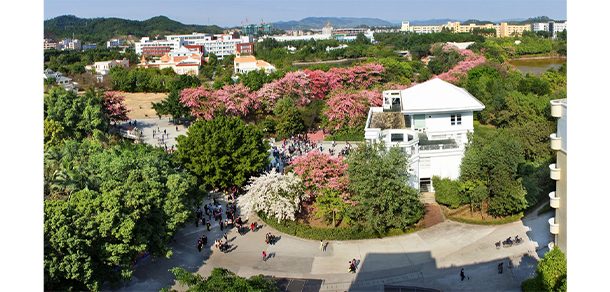 广州软件学院