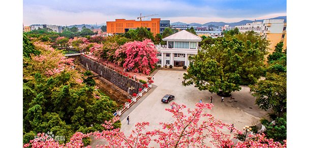 广州软件学院 - 流金歲月