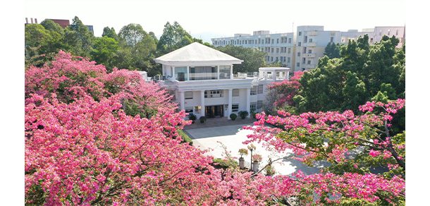 广州软件学院 - 2025年 面向香港、澳门、台湾地区、华侨招生简章