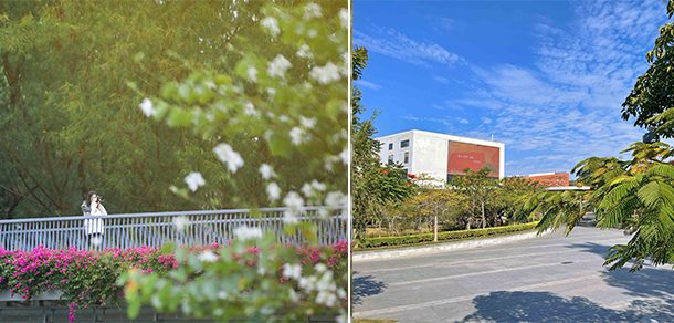 南方科技大学 - 2025年 面向香港、澳门、台湾地区、华侨招生简章