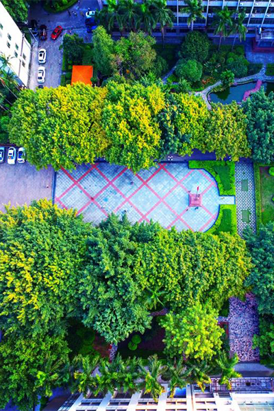 广州中医药大学 - 流金歲月