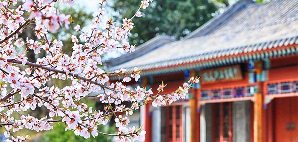 北京大学