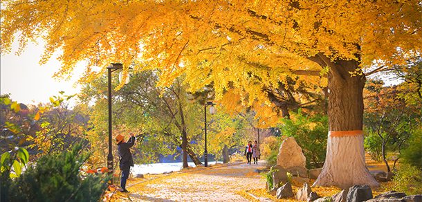 北京大学 - 流金歲月