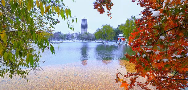 北京大学 - 流金歲月