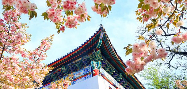 北京大学 - 2025年 面向香港、澳门、台湾地区、华侨招生简章