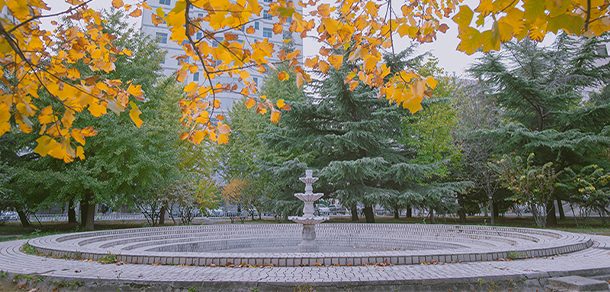 北京工商大学 - 2025年 面向香港、澳门、台湾地区、华侨招生简章