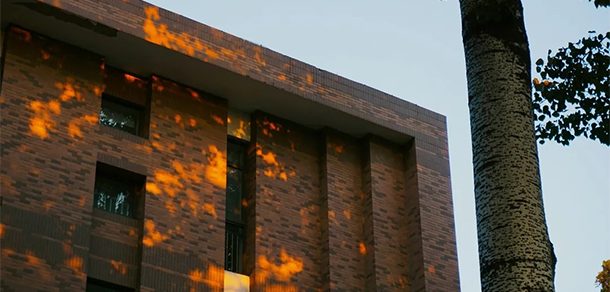中国农业大学 - 2025年 面向香港、澳门、台湾地区、华侨招生简章