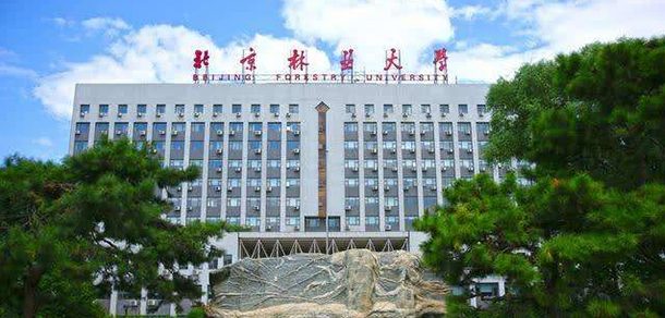 北京林业大学 - 流金歲月