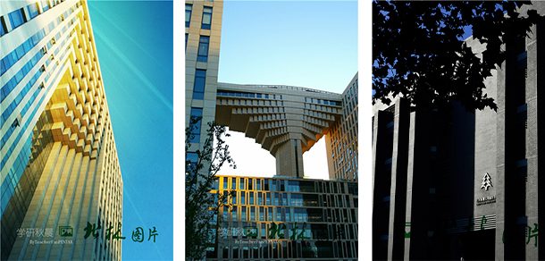 北京林业大学 - 2025年 面向香港、澳门、台湾地区、华侨招生简章